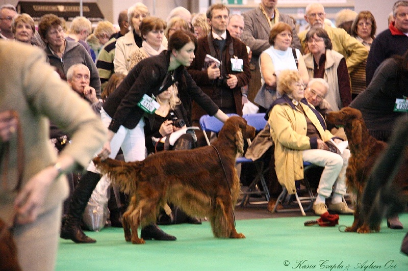 Crufts2011_2 046.jpg